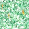 FINDS PARROTS 4800074